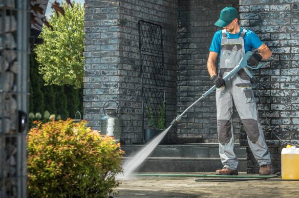 Best Driveway Pressure Washing  in Ellisville, MS