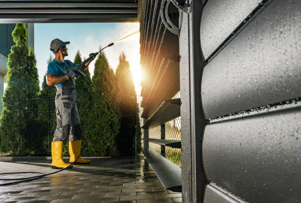 Best Sidewalk and Walkway Cleaning  in Ellisville, MS